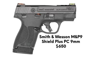 TYPE: Semi-Auto Pistol
ACTION: Striker Fired
MAG DESCRIPT: 1-10 rd. & 1- 13 rd
Red/Green Fiber Optic