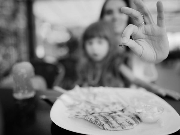 pests found in a restaurant