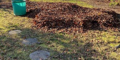 leaf removal, yard cleanup