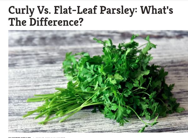 Curly vs flat leaf parsley: what's the difference?