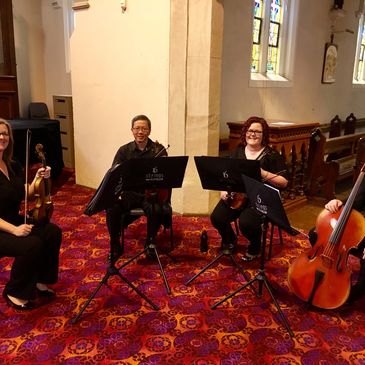 String Quartet available for weddings and other occasions in Toowoomba