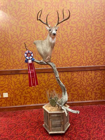 Custom barnwood hexagon box base with 6 point buck mount and outdoor display.