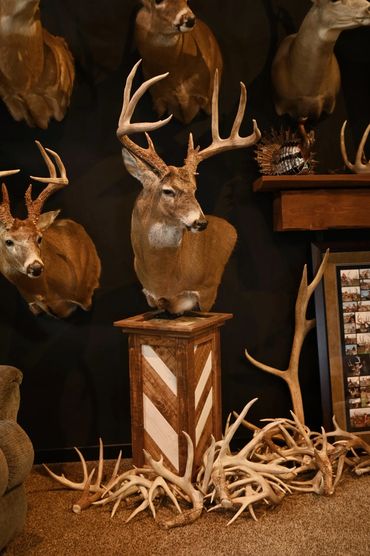 Shoulder mounted whitetail deer on custom square taxidermy pedestal with chevron pattern.