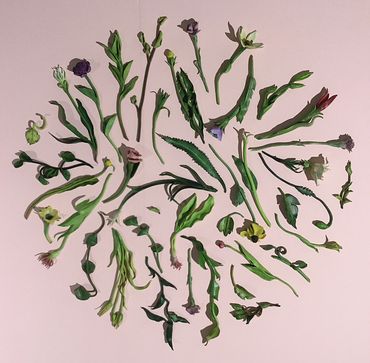 Cut Flowers, after Mary Delany (Arrangement No. 1), ceramic, acrylic, varying sizes, 2016-17. 