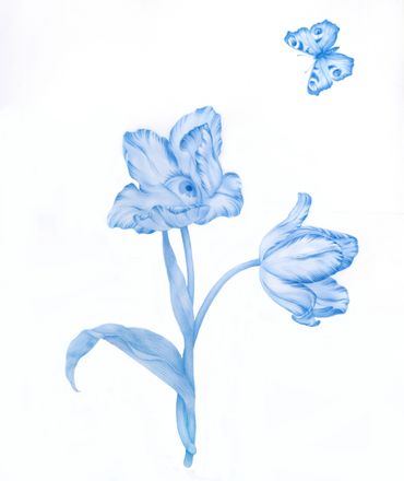 Tulips, from Widflowers, blue pencil on mylar, 12 x 15 inches, 2017.