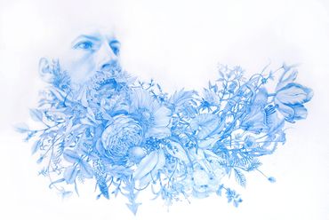 Wildman, (Flora), blue pencil on mylar, 15x24 inches, 2016. Collection of the Art Gallery of Ontario