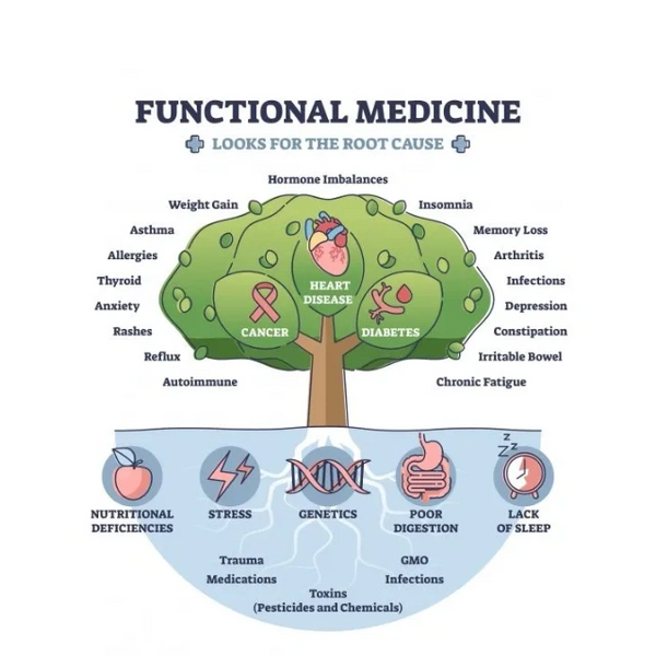 Functional Medicine Tree
