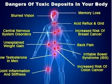 Dangers of Toxins in the body.