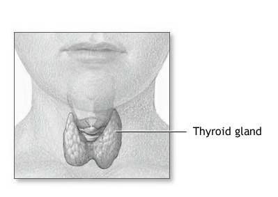 thyroid gland TSH unreliable thyroxine synthroid jeffrey dach