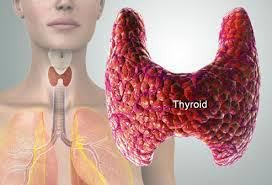 Selenium Thyroid More Good News Jeffrey Dach MD Thyroid Gland 99