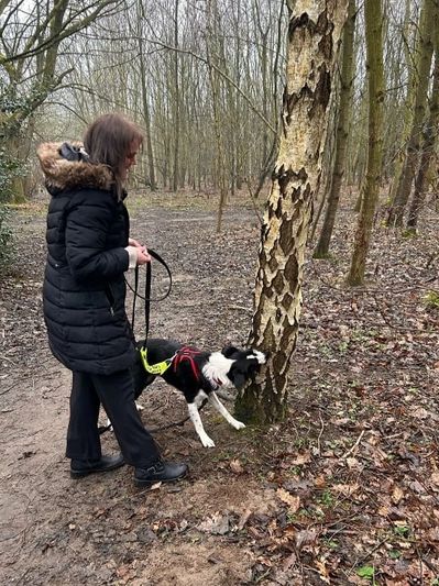 Jo's clients, Kate and Buddy in the forest near Easingwold