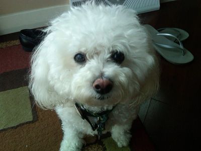 Sweet little Cloe Bee Marie Scaglione