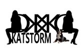 Katstorm's Bernese Mountain Dogs