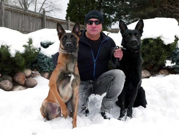 Ultimate K9 Protection Dogs