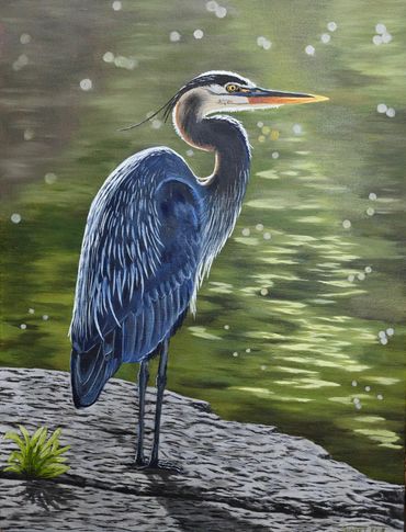 Oil on canvas, 24" x 18"