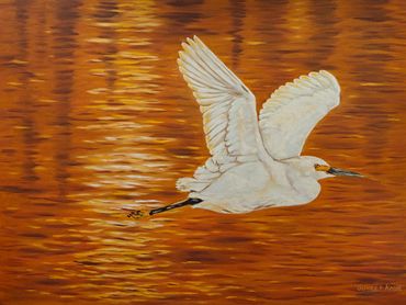 Oil on stretched canvas
18" x 24"