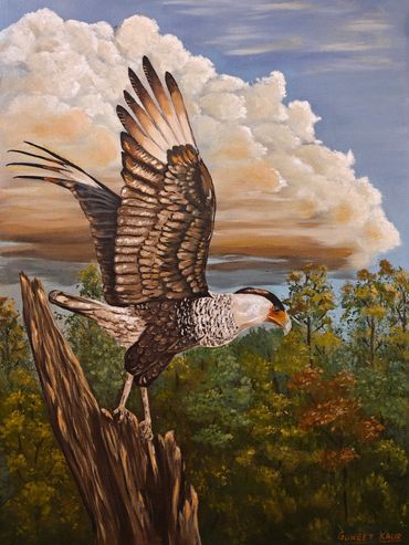 Oil on stretched canvas
24" x 18"
