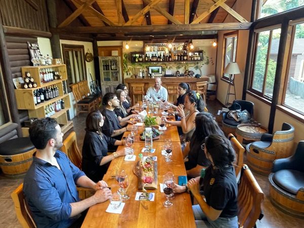 Wooden style dinning room with people eating food and drinking wine