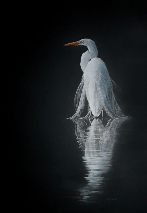 16" x 20" Colored Pencil Egret Reflection on Museum Board