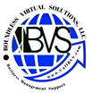 Boundless Virtual Solutions, LLC
