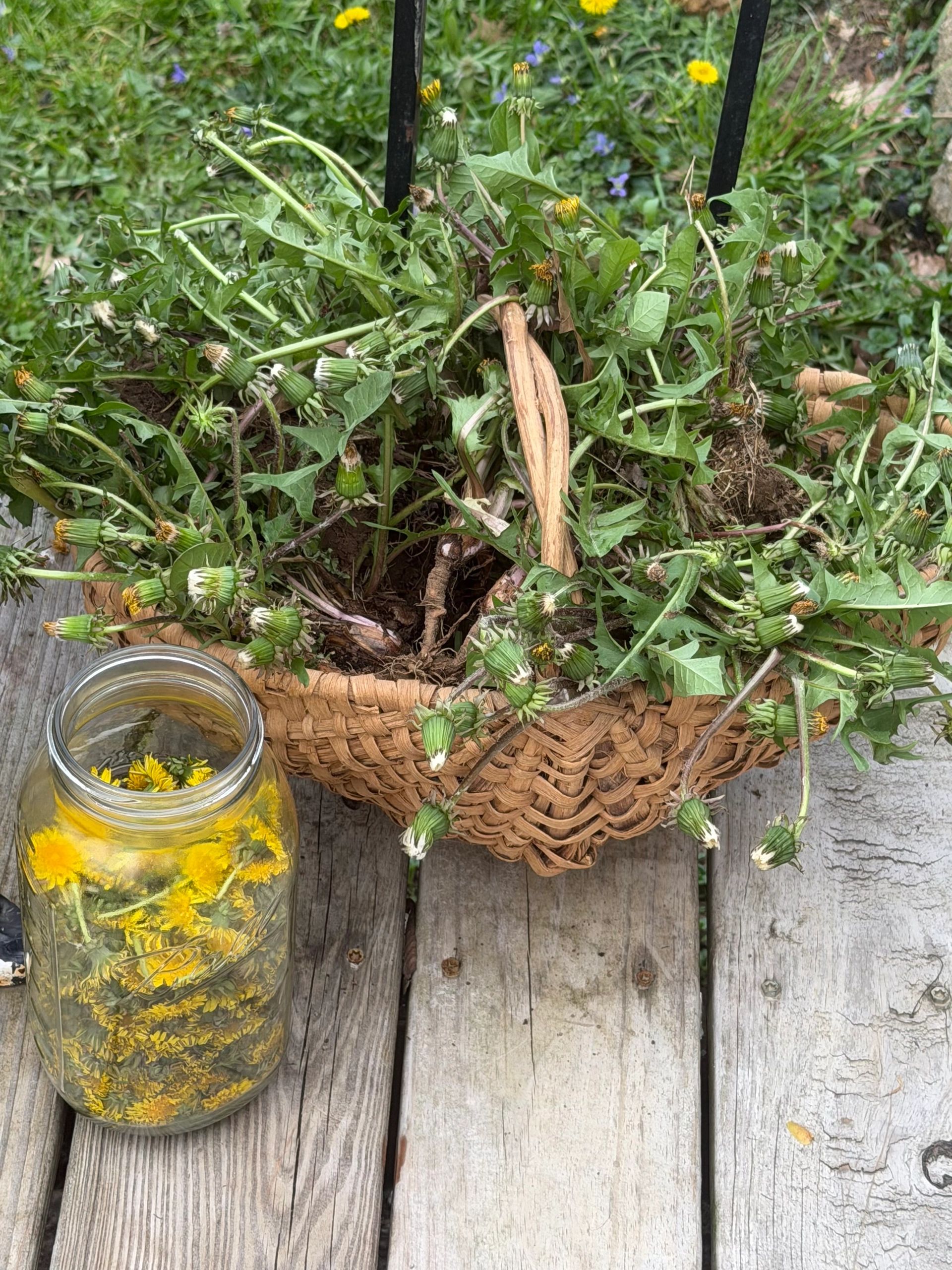 Fresh dandelions in a woven basket and a jar with dandelion flowers on a wooden surface.