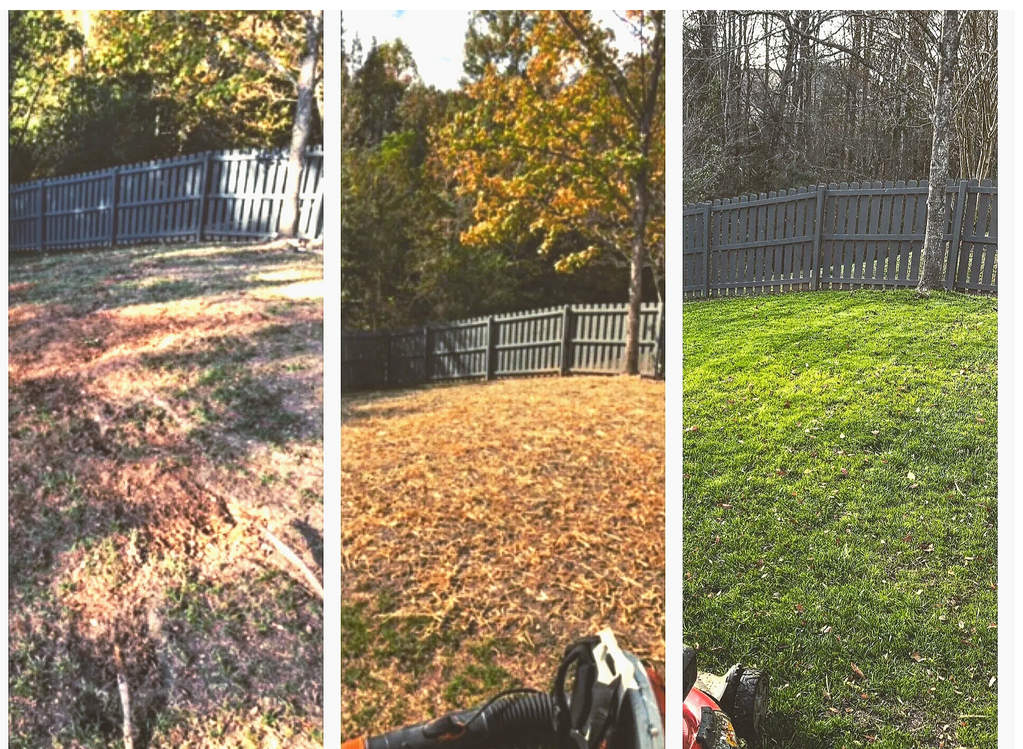 Two month transformation. Root extraction, new topsoil and premium fescue seed for a fresh start.