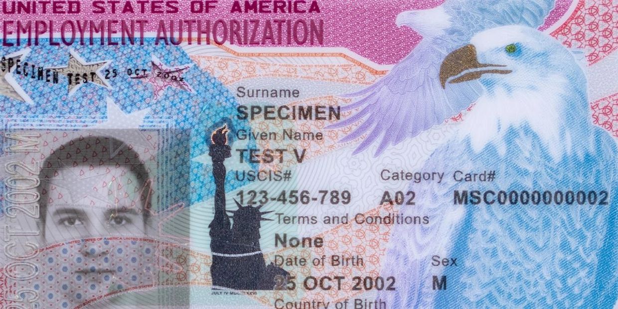 Front view of US Employment Authorization Card 