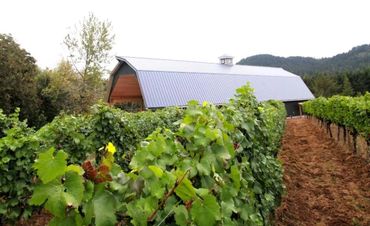 energy-saving-home-upgrades