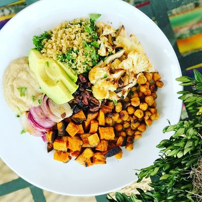 Vegan and plant based performance meals 