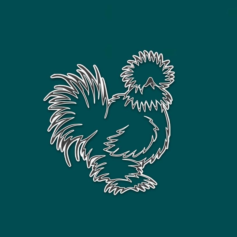 Outline of a fluffy chicken on a teal background.