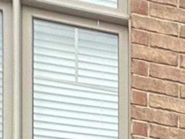 car exterior detailing Guelph