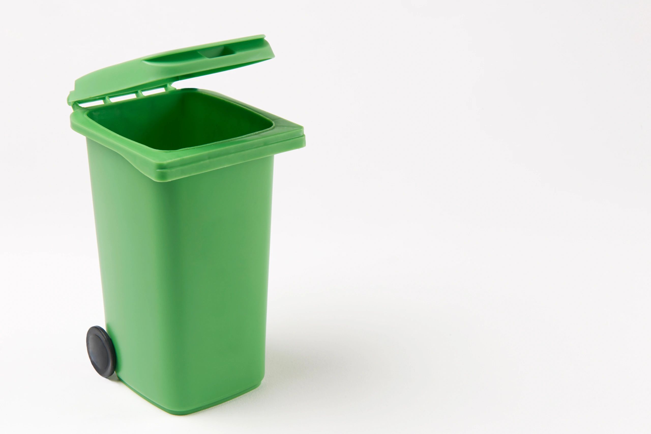 Ashford Wheelie Bin Cleaning