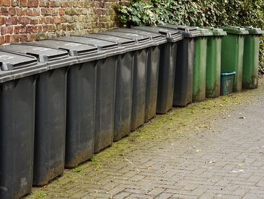 line of dirty wheelie bins
