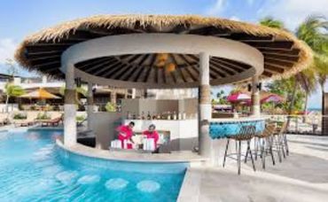 Tropical swim-up bar with thatched roof and poolside seating.