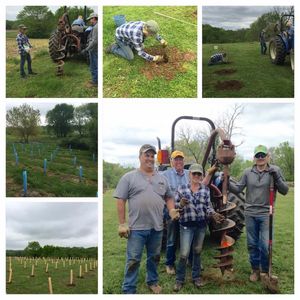 Vineyards at Pheasant Valley Farms
