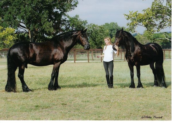 Celia with Broer and Merlin
