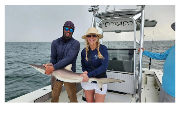 lady catches spinner shark on a shark trip