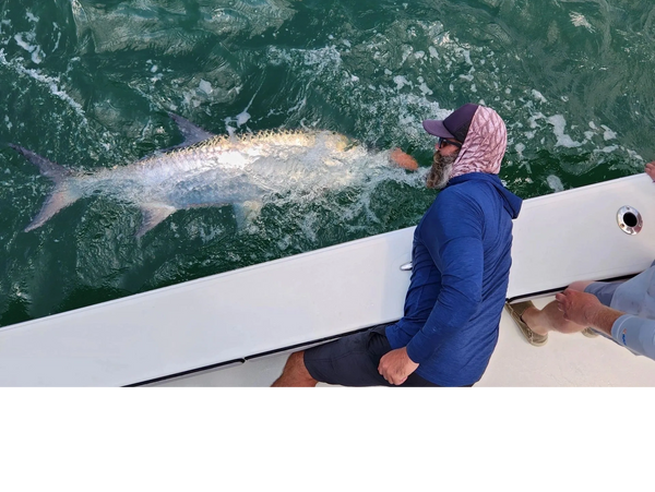 tarpon caught by this client while inshore fishing