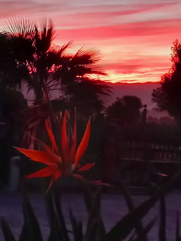 Tarifa Sunrise