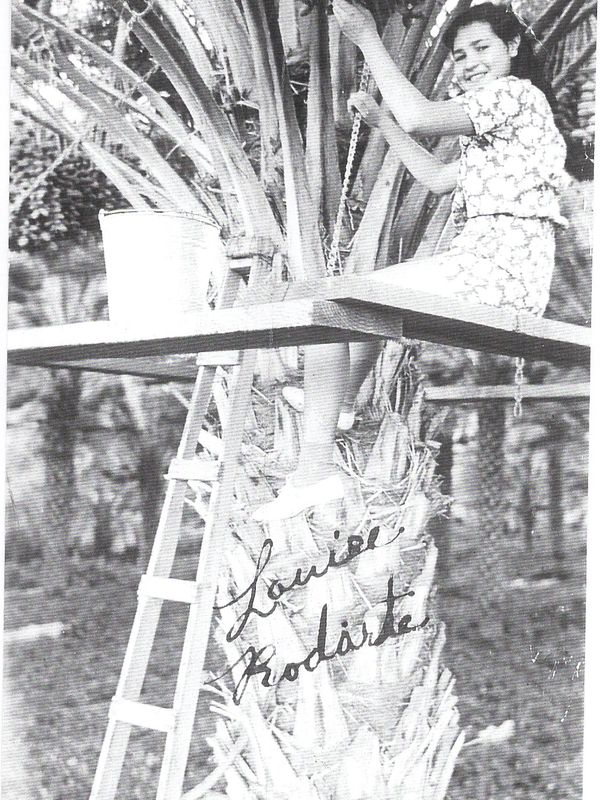 Louise Rodarte Neely