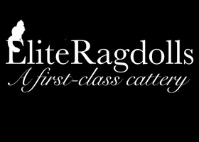 Elite Ragdolls
