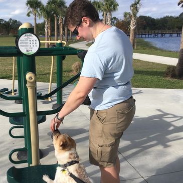 A person teaching a light brown dog to put their paws up on an object at a playground