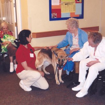 A woman is kneeling as her German Shepherd therapy dog comforts two seated women.