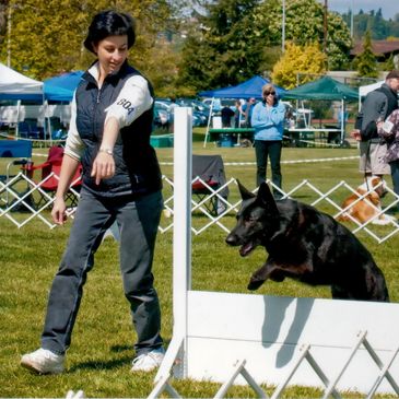A woman competing in Rally Obedience with her black German Shepherd
