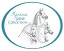 Arabian Horse Connection