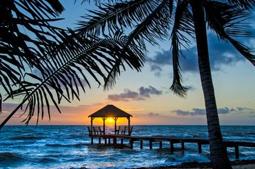 Sunset over a wooden pier framed by palm trees at the beach.