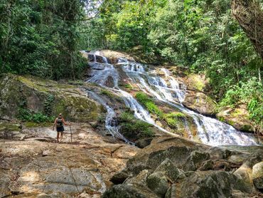 A hiker with a walking stick near a cascading waterfall in a lush forest.