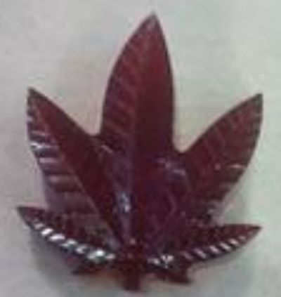 Cranberry Cannabis Gummies, duel dosing for healthy flora with a few drops of Wild Orange Essential.