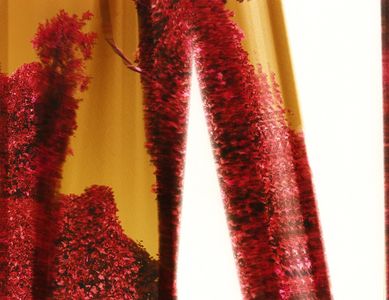 Morphogenetic: Kudzu 2
CMYK Printer Manipulations on cotton paper
8.5” x 11” – unique
2017