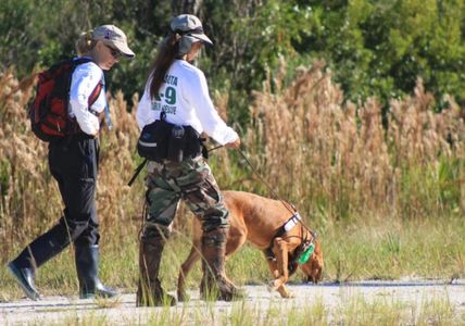 It takes a lot of time to train Search and Rescue (SAR) K9s to be ready for any mission. 